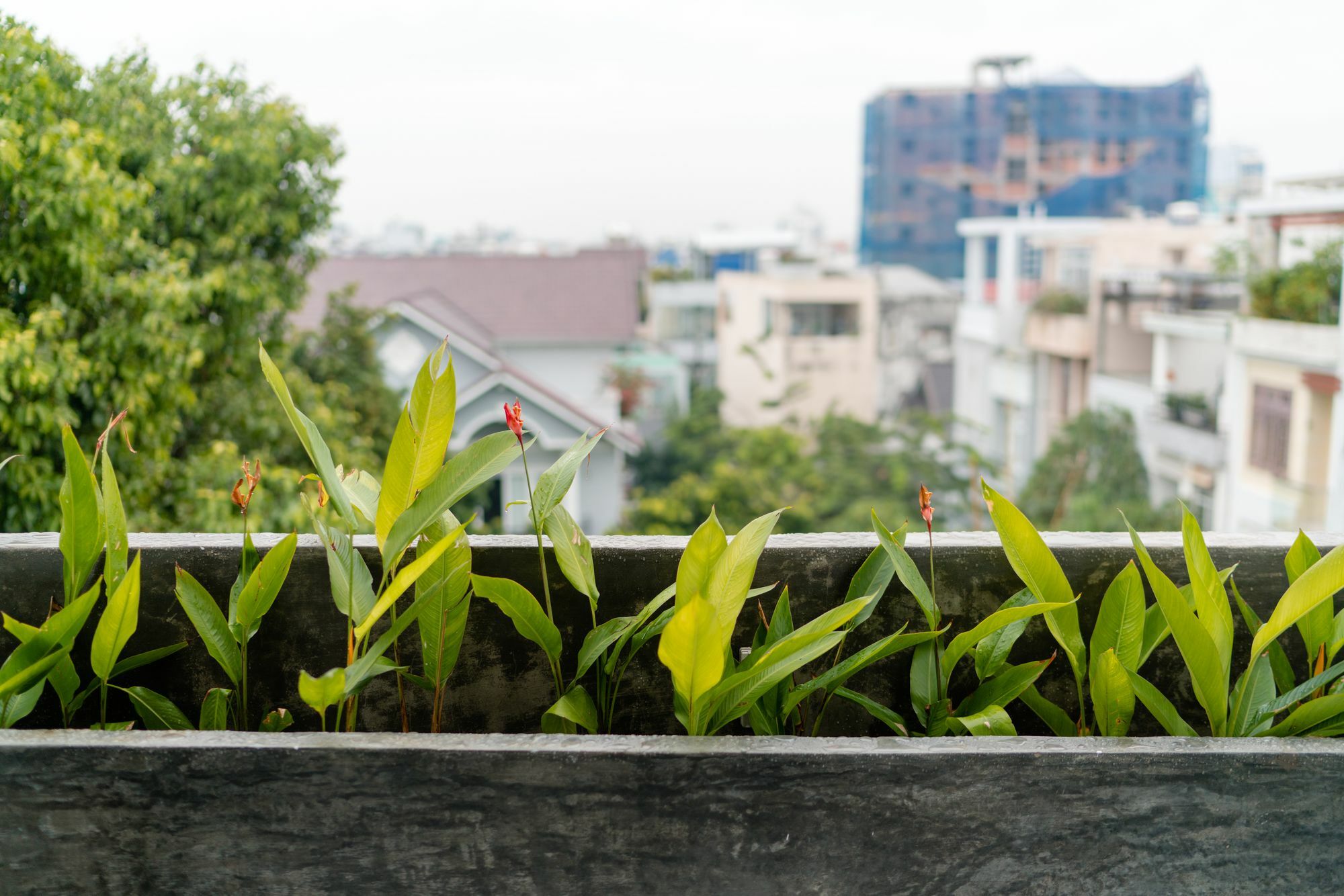 Iam Saigon Homestay Хошимин Экстерьер фото